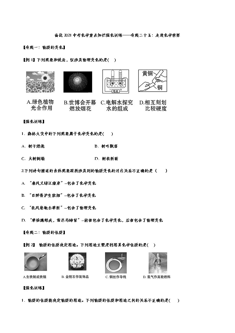 2021中考化学重点知识强化训练 专题二十五:走进化学世界01