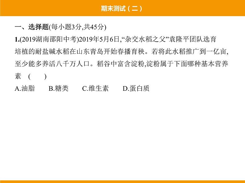 人教版初中化学九年级(下册)期末测试(二)02
