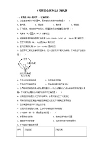 初中化学沪教版 (上海)九年级第二学期第六单元 常用的金属和盐本单元综合与测试习题