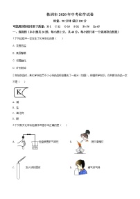 湖南省株洲市2020年中考化学试题（原卷版+解析版）