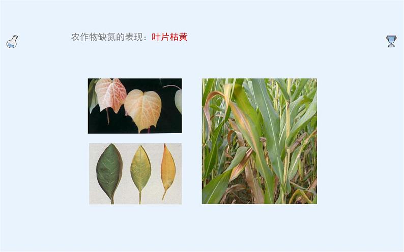 人教版九年级化学下册《化学肥料》优质课教学课件07