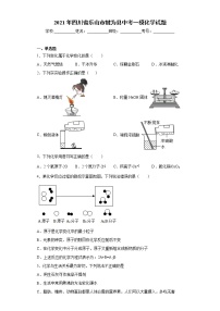 2021年四川省乐山市犍为县中考一模化学试题（word版 含答案）