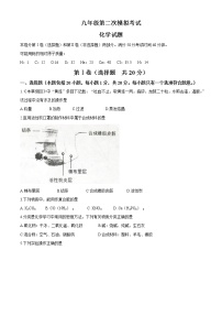 2021年山东省泰安市东平县中考二模化学试题(无答案)