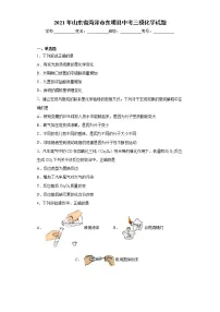 2021年山东省菏泽市东明县中考三模化学试题(word版 含答案)