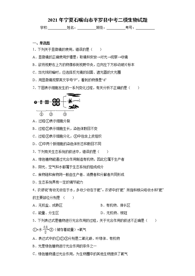 2021年宁夏石嘴山市平罗县中考二模生物试题(word版 含答案)01