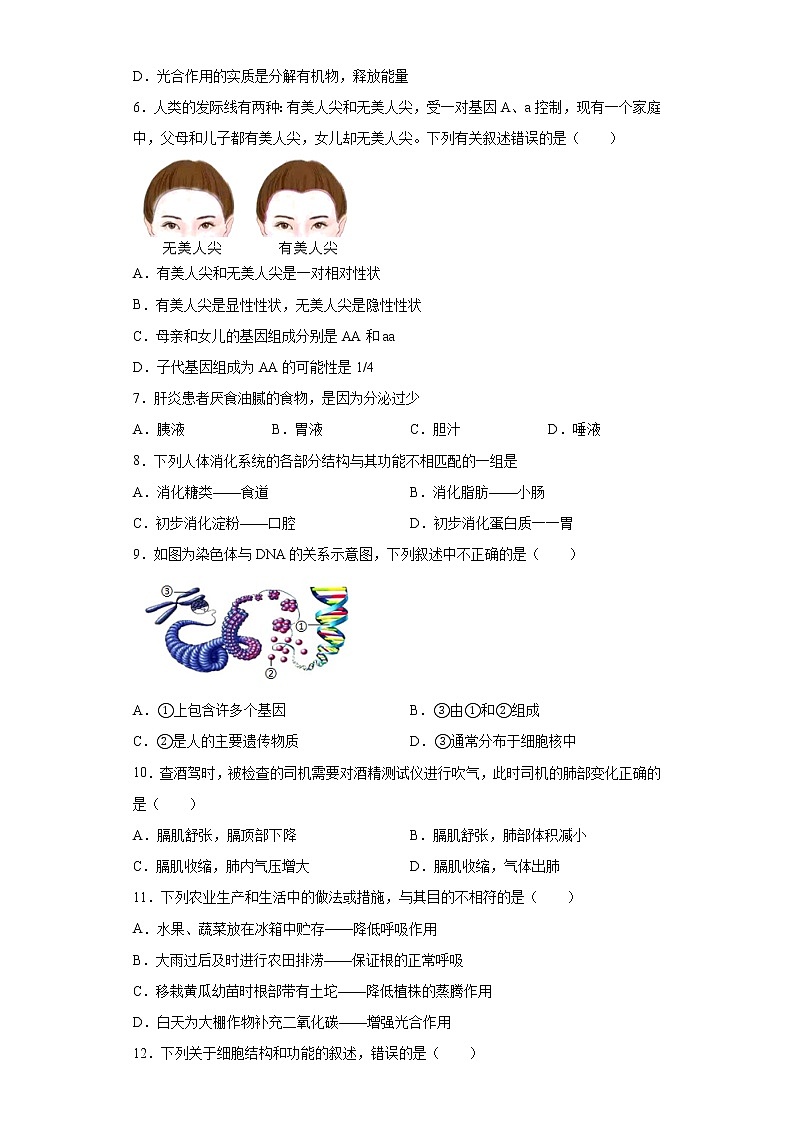 2021年宁夏石嘴山市平罗县中考二模生物试题(word版 含答案)02