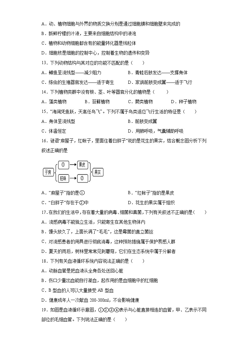 2021年宁夏石嘴山市平罗县中考二模生物试题(word版 含答案)03