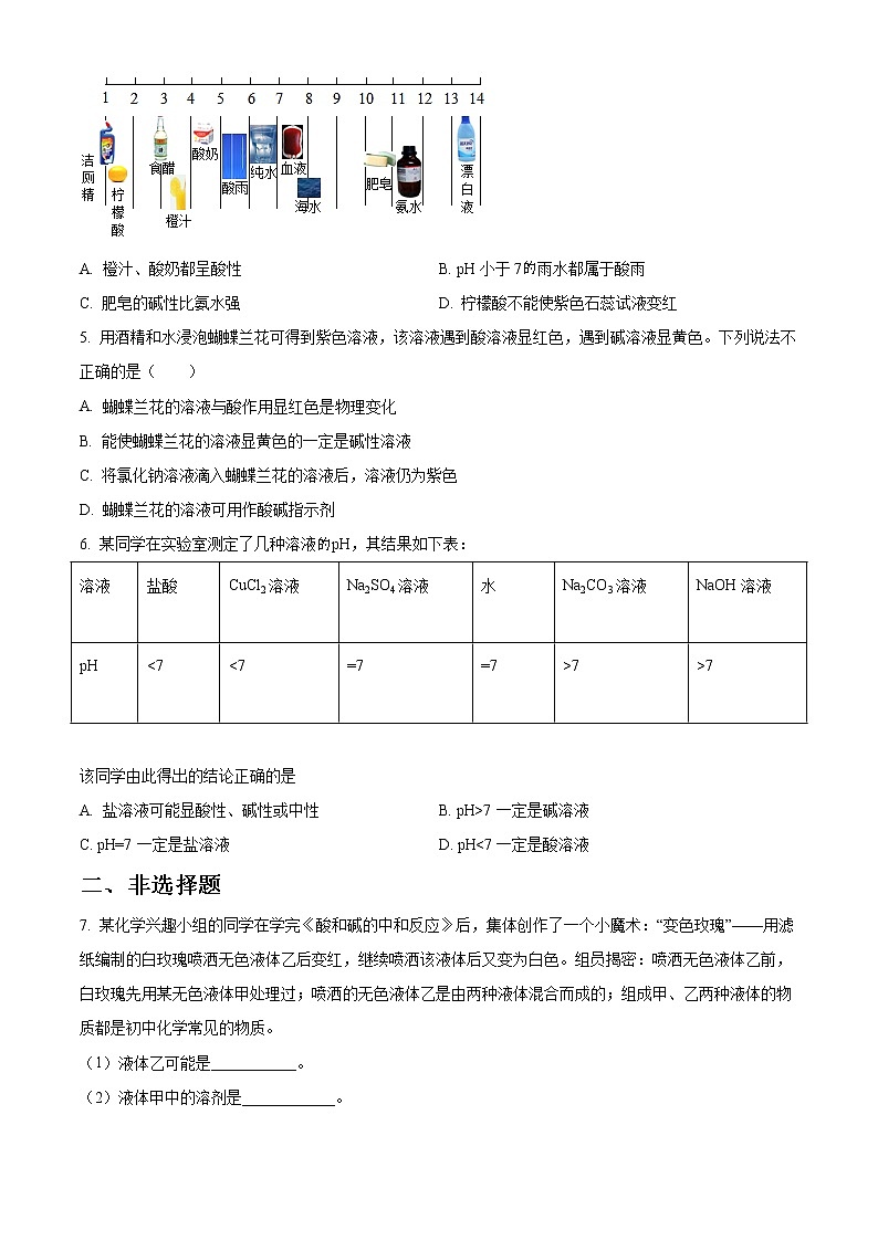 精品解析:第十单元《实验活动7 溶液酸碱性的检验》人教版九年级化学下册同步测试卷:02