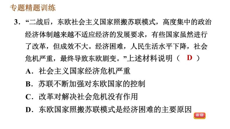 人教版（河北专版）九年级下册历史课件 专题训练 专题四　碰撞发展的世界经济08