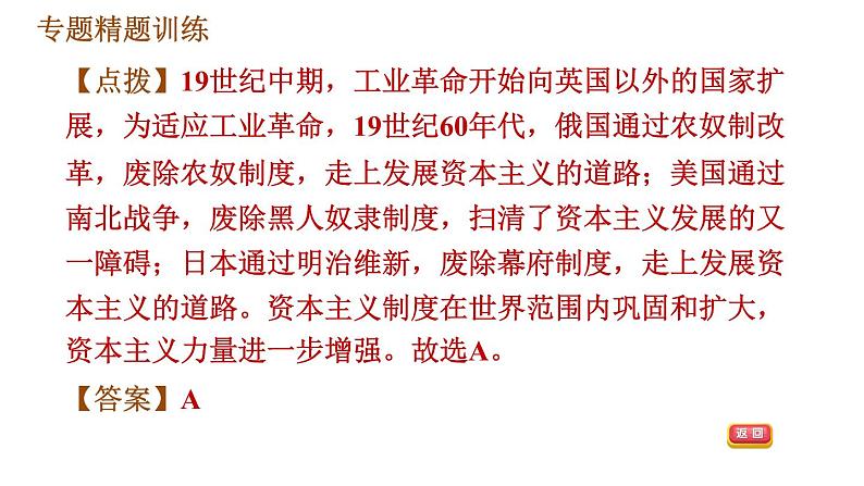人教版九年级下册历史课件 专题训练 专题三 改革与体制创新第7页