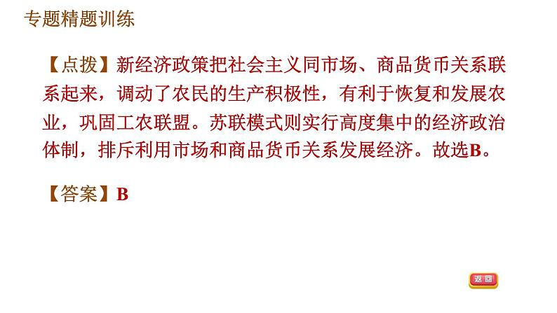 人教版九年级下册历史课件 专题训练 专题四 碰撞发展的世界经济第5页