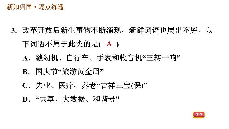 人教版八年级下册历史习题课件 第6单元 第19课 社会生活的变迁第5页