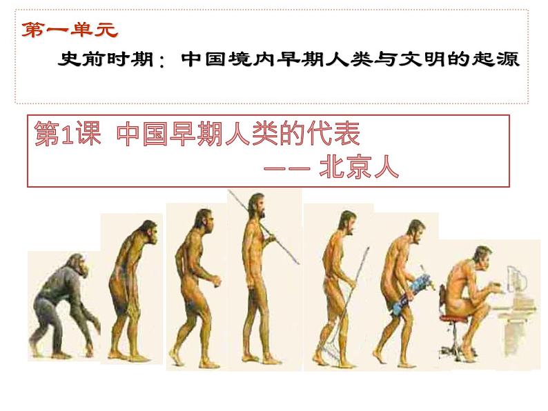 人教部编版七年级历史上册课件 1 中国境内早期人类的代表— 北京人第3页