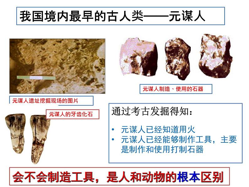 人教部编版七年级历史上册课件 1 中国境内早期人类的代表— 北京人第7页