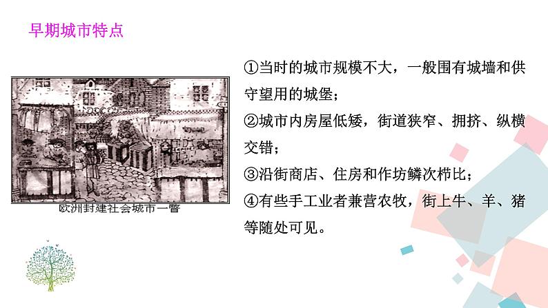 9.中世纪城市和大学的兴起 课件第6页