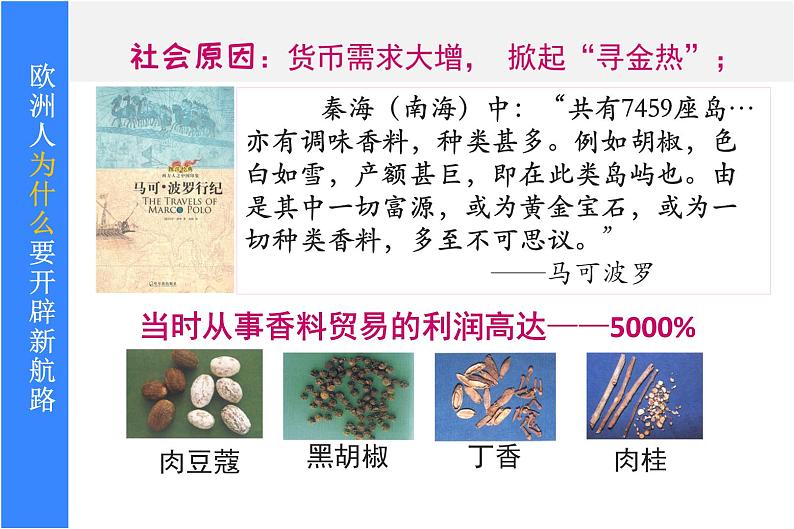部编版九年级历史上册:5.3 探寻新航路-课件第5页