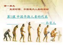 2020-2021学年第一单元 史前时期：中国境内早期人类与文明的起源第一课 中国境内早期人类的代表—北京人课文配套ppt课件