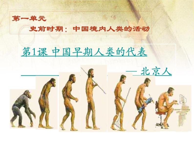 七年级上册历史第1课《中国早期人类的代表—北京人》ppt课件01