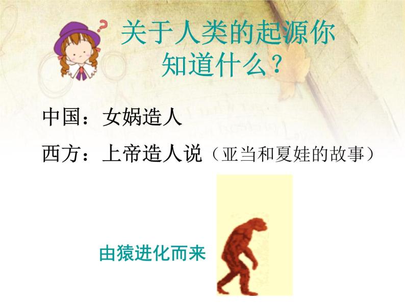 七年级上册历史第1课《中国早期人类的代表—北京人》ppt课件03