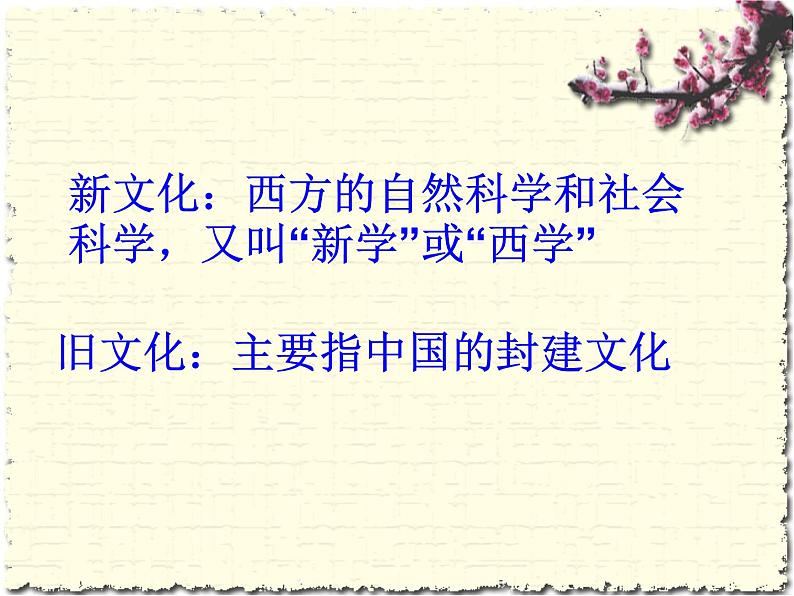 最新人教部编版八年级上册历史新文化运动(1)课件04