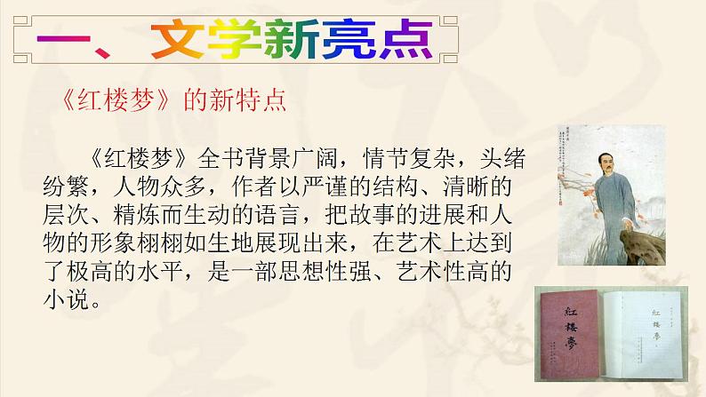 人教部编版历史七年级下册 第三单元第21课 清朝前期的文学艺术课件PPT第6页