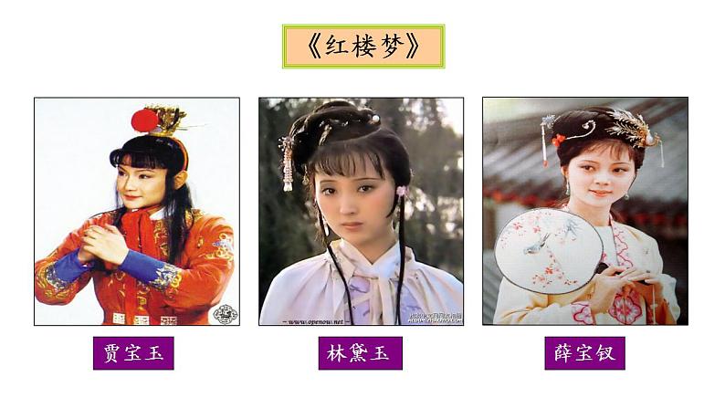 人教部编版历史七年级下册 第三单元第21课 清朝前期的文学艺术课件PPT第8页