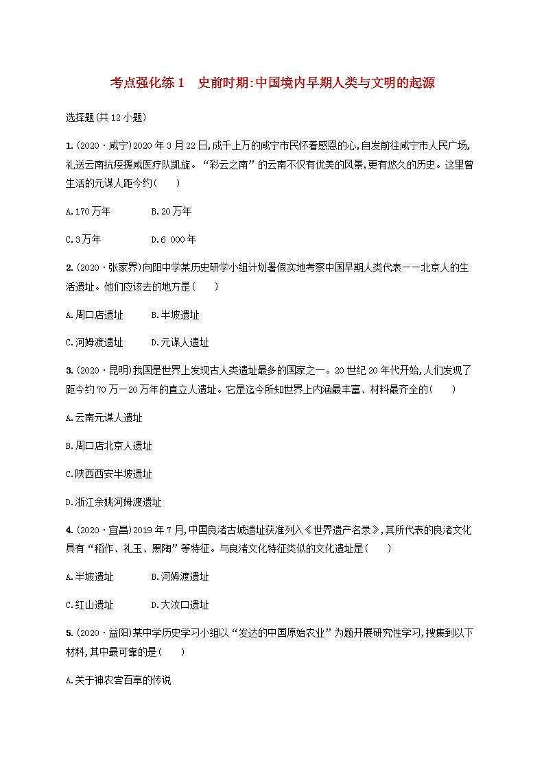 中考历史一轮复习考点强化练1史前时期中国境内早期人类与文明的起源第1页