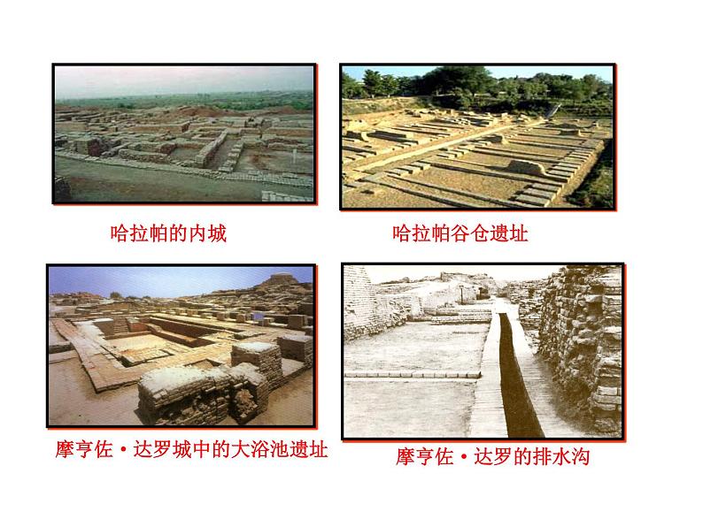 2021-2022学年度人教版九年级历史上册课件 3古代印度06