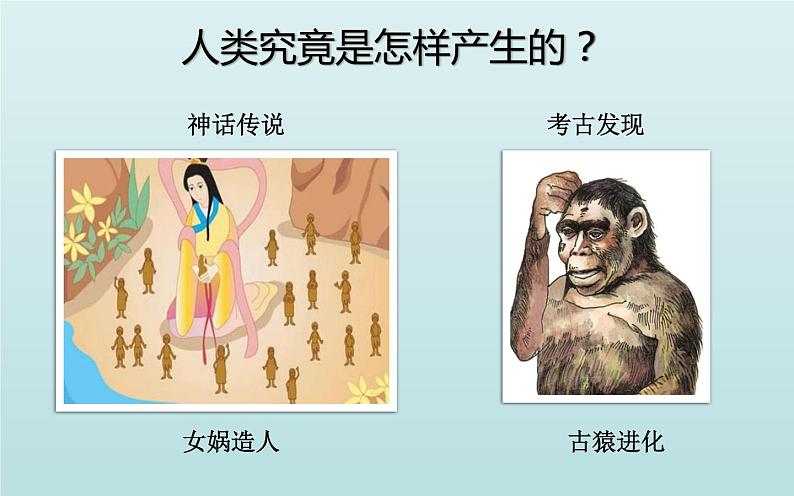 第1课 中国早期人类的代表北京人课件PPT第2页
