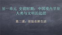 初中历史人教部编版七年级上册第二课 原始农耕生活教学演示课件ppt