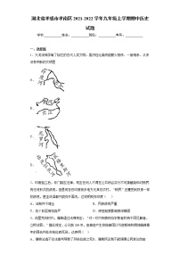 湖北省孝感市孝南区2021-2022学年九年级上学期期中历史试题（word版 含答案）