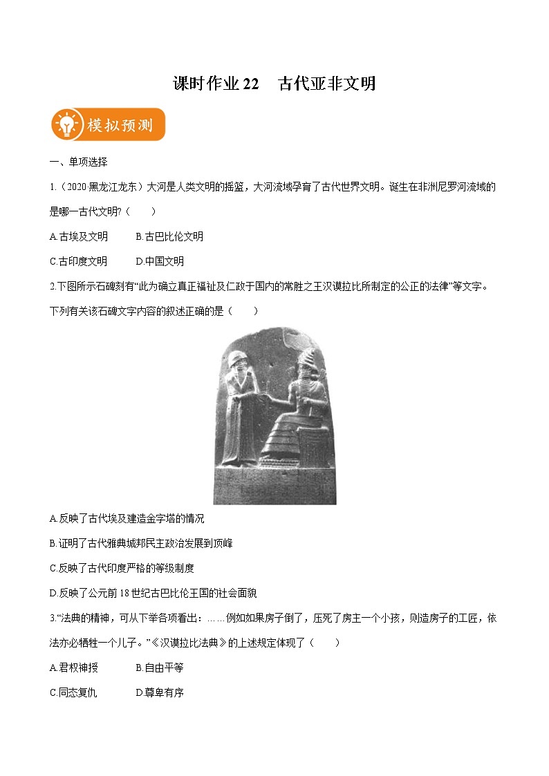 2022届初中历史一轮复习 课时作业22 古代亚非文明 习题01