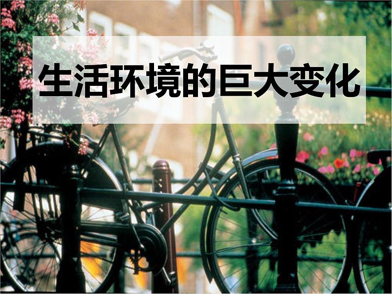 第20课-活动课:生活环境的巨大变化 课件01