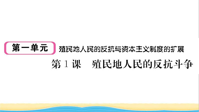 九年级历史下册第一单元殖民地人民的反抗与资本主义制度的扩展第1课殖民地人民的反抗斗争作业课件新人教版第1页