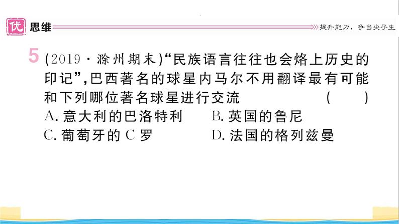 九年级历史下册第一单元殖民地人民的反抗与资本主义制度的扩展第1课殖民地人民的反抗斗争作业课件新人教版第6页