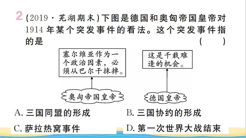 九年级历史下册第三单元第一次世界大战和战后初期的世界第8课第一次世界大战作业课件新人教版第3页