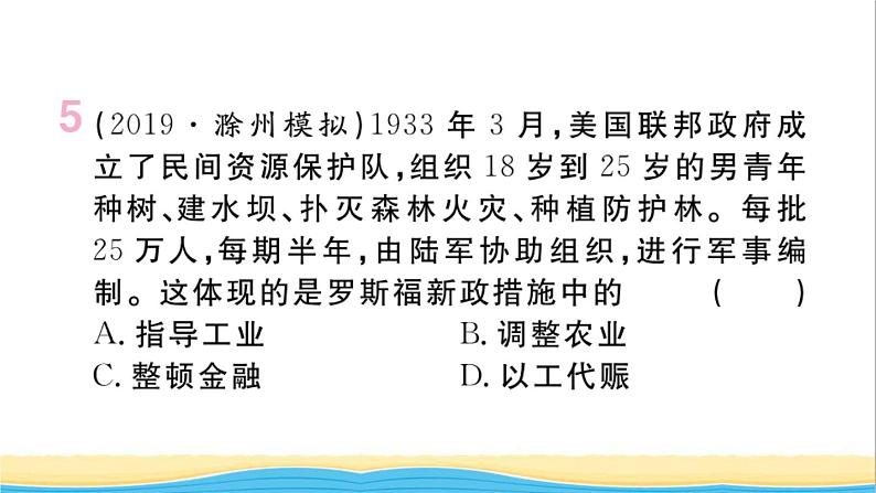 九年级历史下册第四单元经济大危机和第二次世界大战第13课罗斯福新政作业课件新人教版第6页