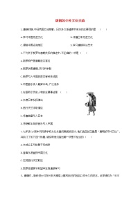 人教部编版七年级下册第4课 唐朝的中外文化交流精练