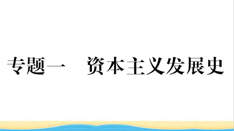 九年级历史下册专题一资本主义发展史作业课件新人教版01