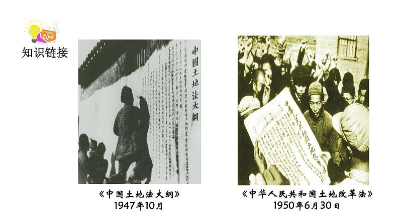人教版八年级历史下册 第1单元 第3课 土地改革 课件第8页