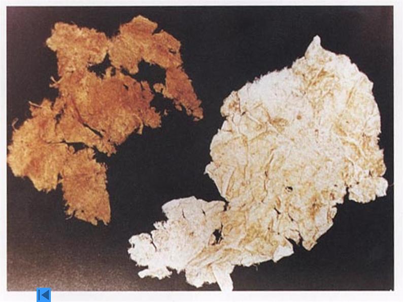 人教部编版七年级历史上册-两汉的科技和文化课件第3页