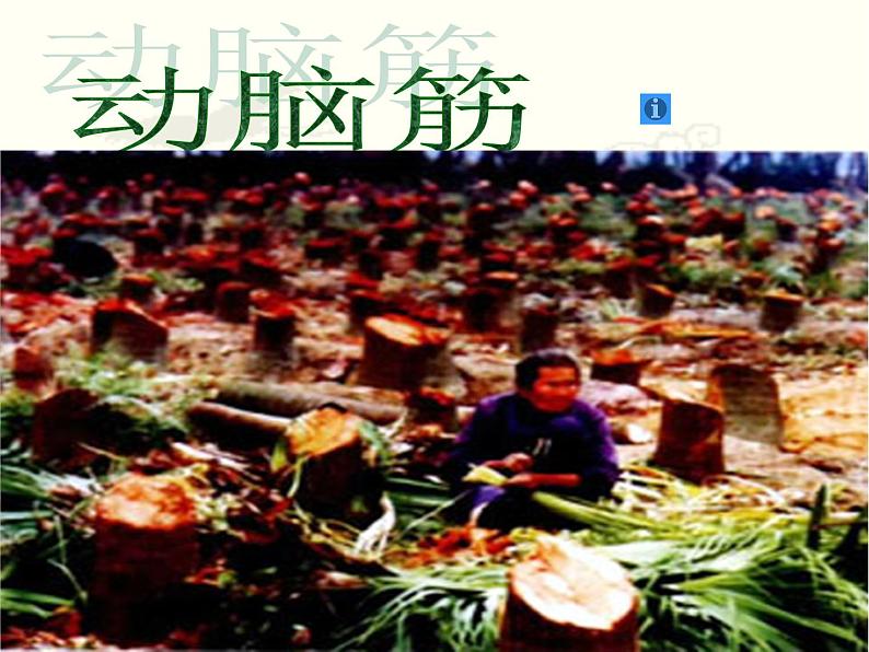 人教部编版七年级历史上册-两汉的科技和文化课件第8页