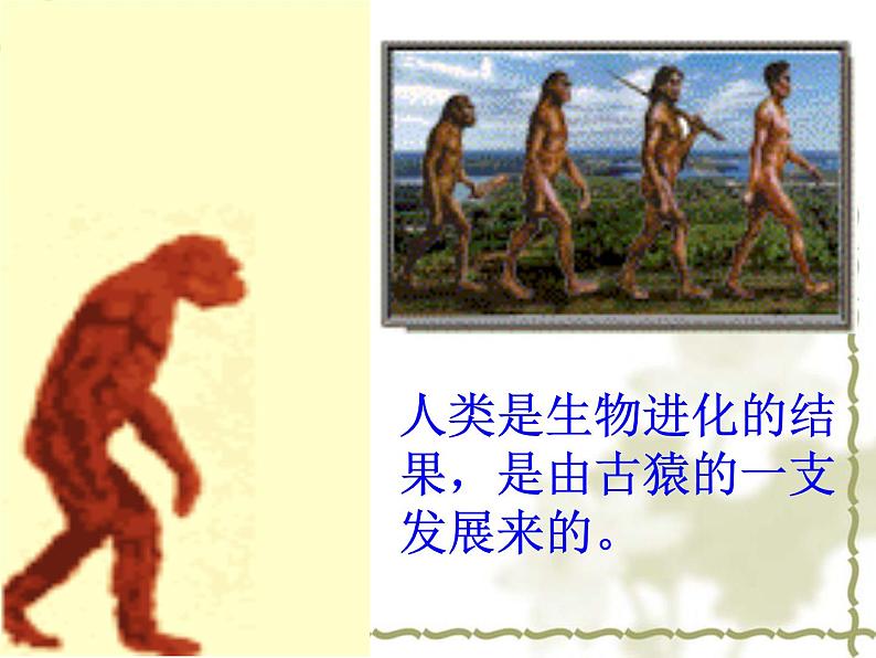人教部编版七年级历史上册第一课 中国境内早期人类的代表—北京人课件PPT第6页