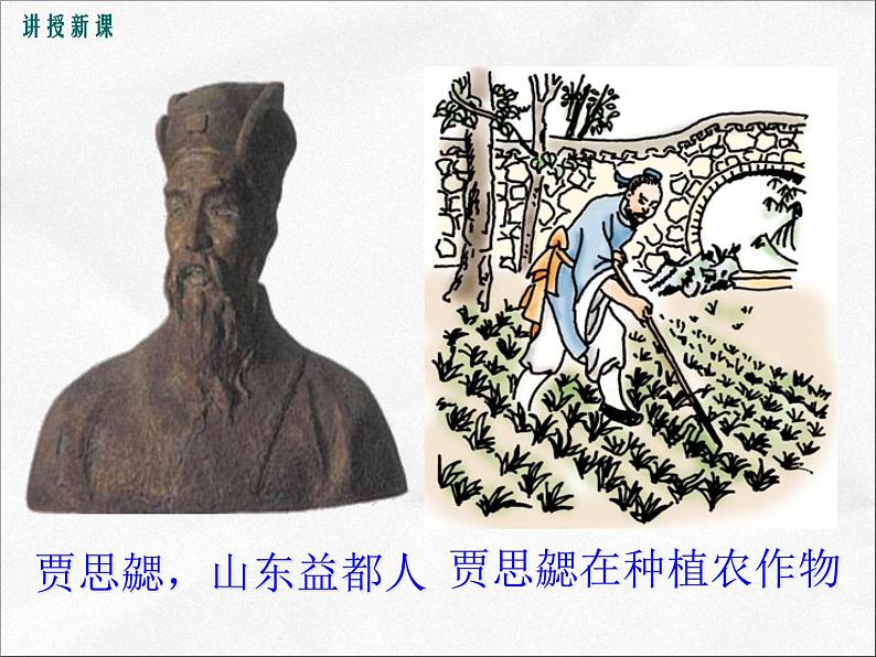 人教部编版七年级历史上册新《魏晋南北朝的科技与文化》课件第8页