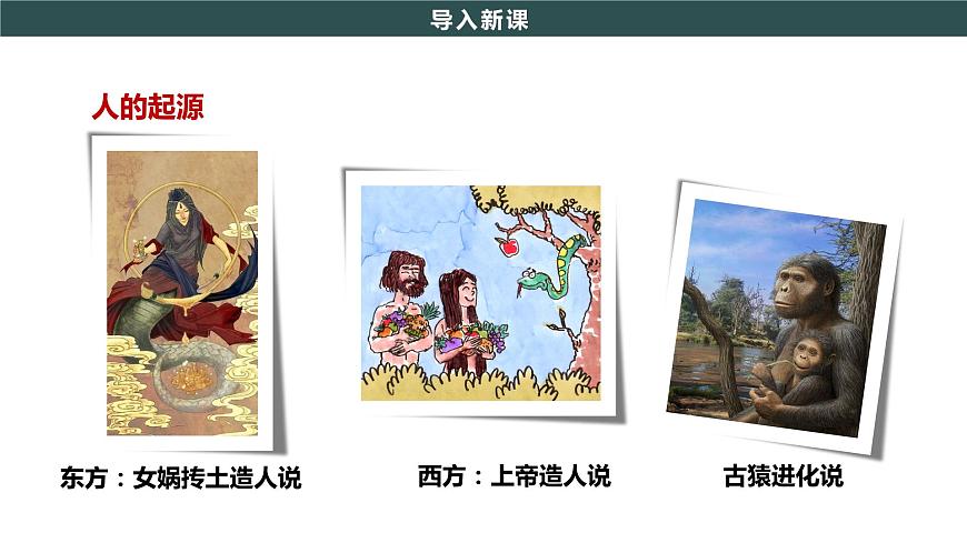 第1課 中國境內(nèi)早期人類的代表—北京人 課件第2頁