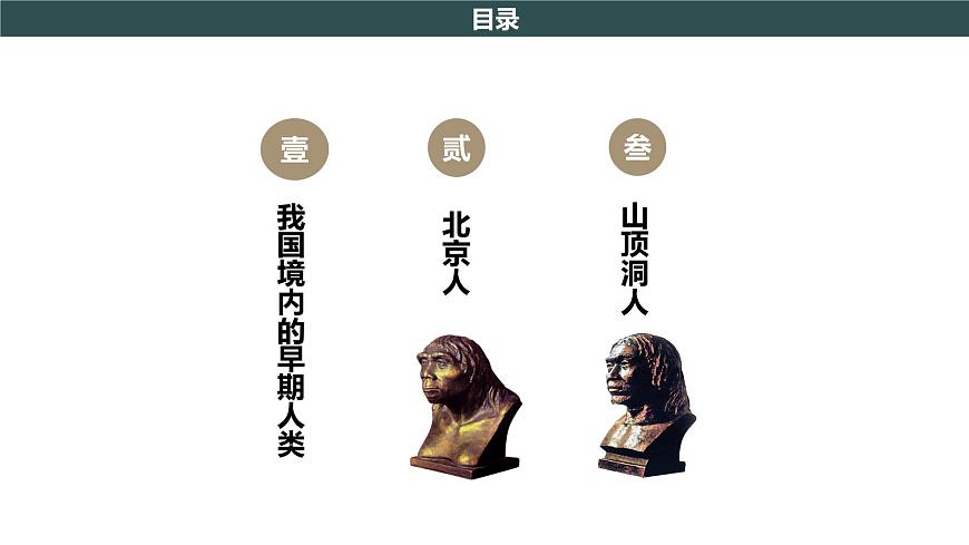 第1課 中國境內(nèi)早期人類的代表—北京人 課件第4頁