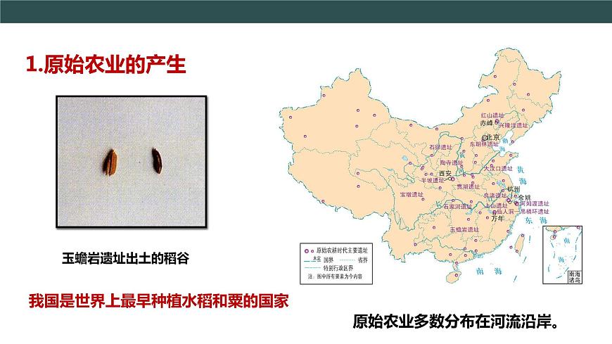 第2課 原始農(nóng)耕生活 課件第7頁