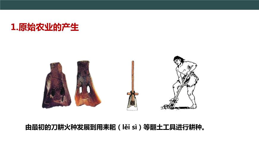 第2課 原始農(nóng)耕生活 課件第8頁