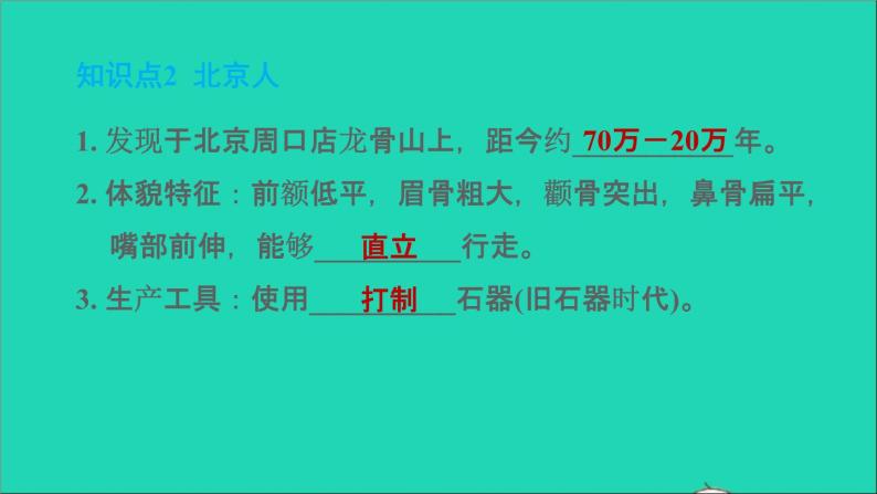 部编版七年级历史上册第一单元史前时期：中国境内早期人类与文明的起源第1课中国境内早期人类的习题课件03