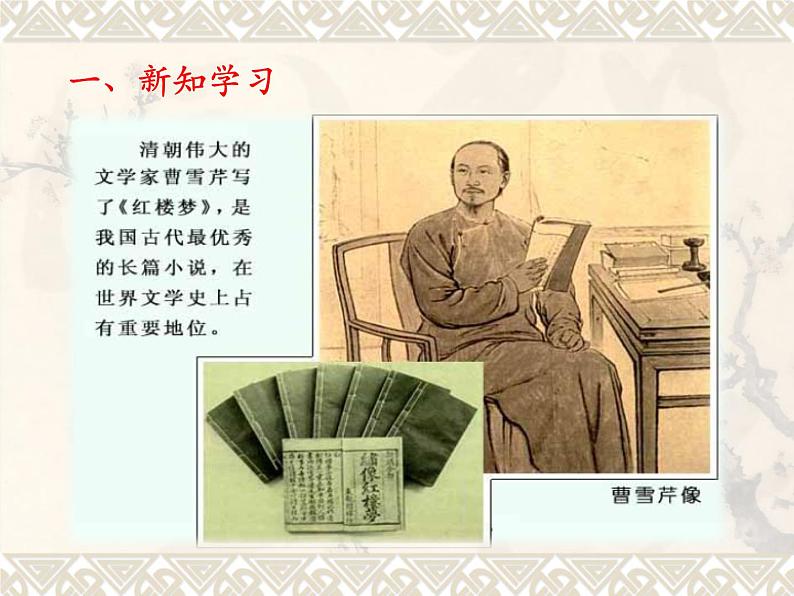 初中历史人教版(部编)七年级下册 第21课清朝前期的文学艺术 1 课件04